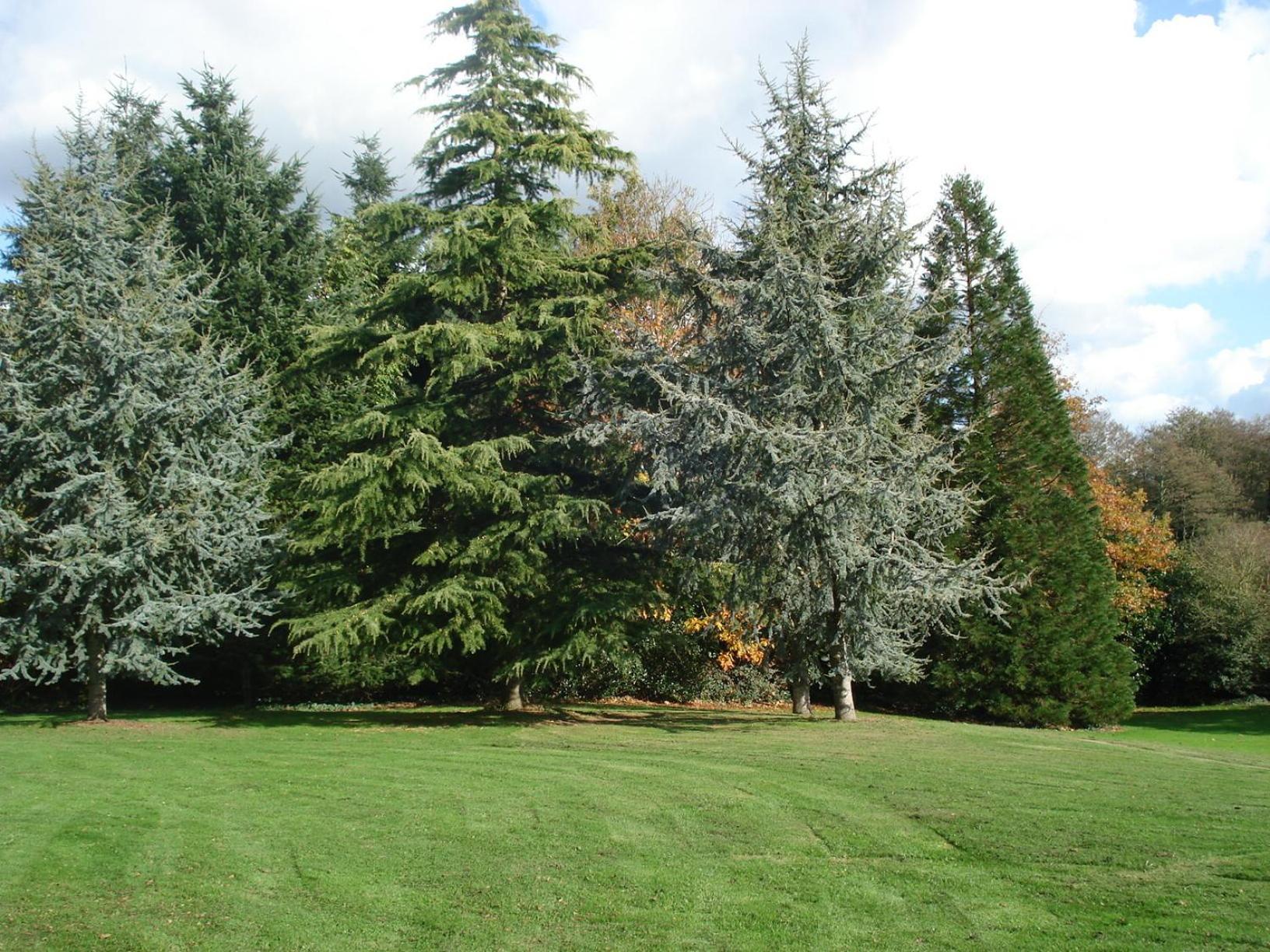 Gite De Cohignac Berric Exterior photo